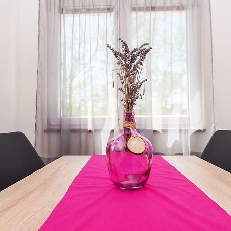 Apartman Micko Privlaka  Eksteriør billede